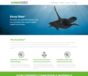 website design nashik